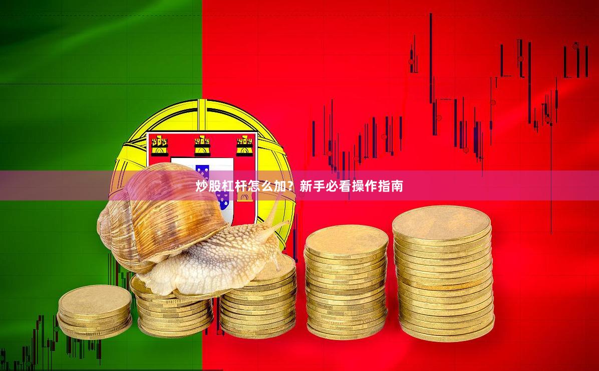 炒股杠杆怎么加？新手必看操作指南