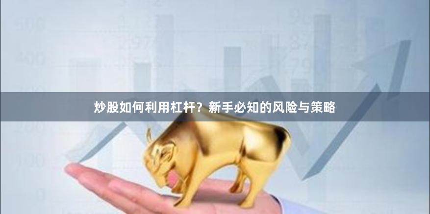 炒股如何利用杠杆？新手必知的风险与策略