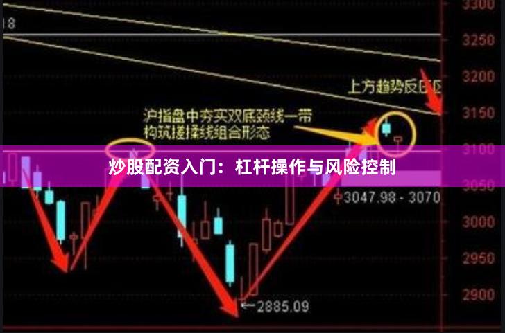 炒股配资入门:杠杆操作与风险控制